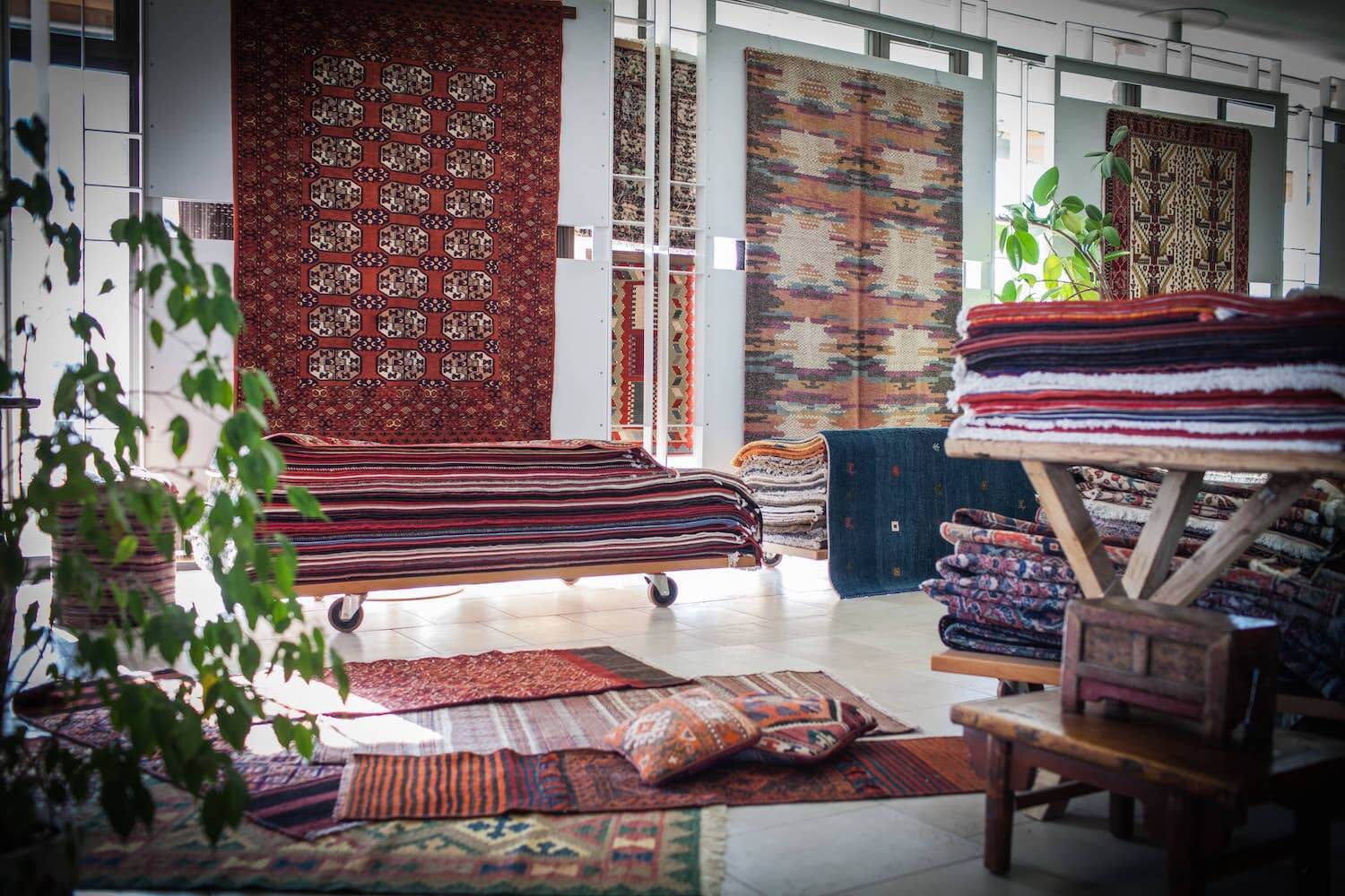 tappeti orientali colorati showroom udine